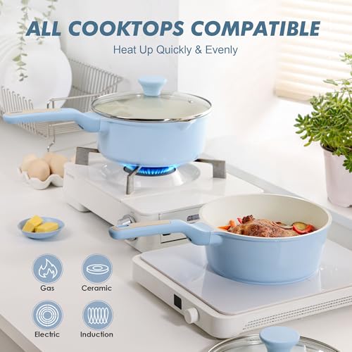 SENSARTE Nonstick Saucepan with Lid for Everyday Cooking
