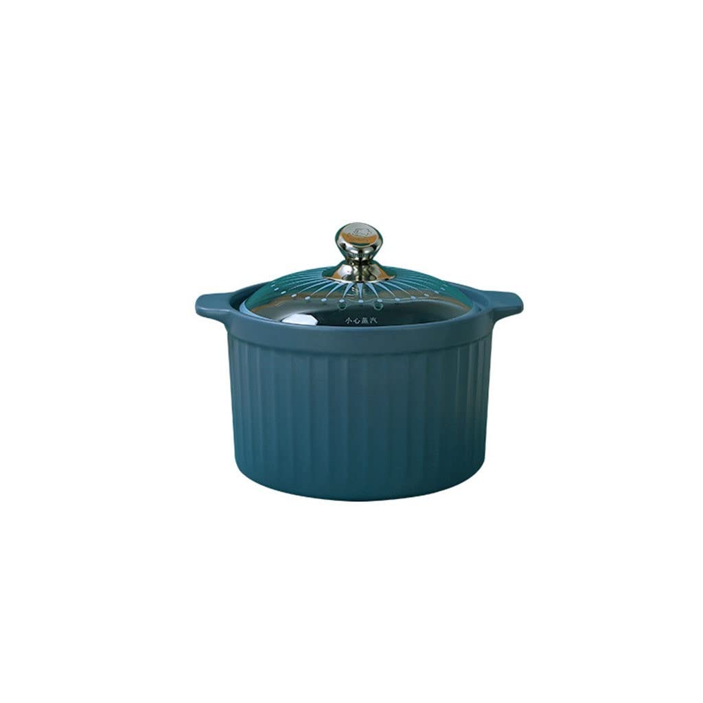 Colorful Large Soup Pot with Glass Lid & Steamer Insert