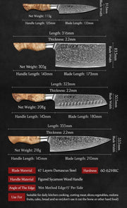 6-Piece Damascus Steel Kitchen Knife Set with Magnetic Holder